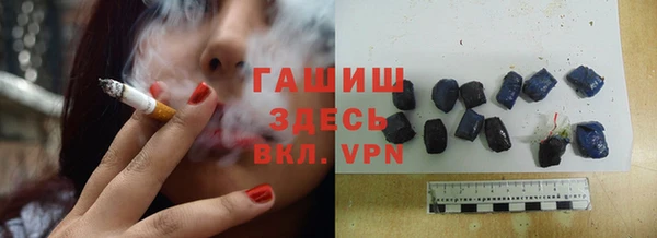 spice Гусев
