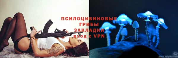 МДПВ Пересвет