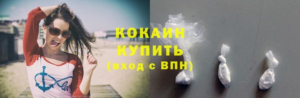 spice Гусев