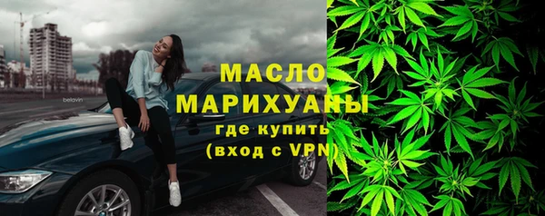 гидропоника Гусиноозёрск