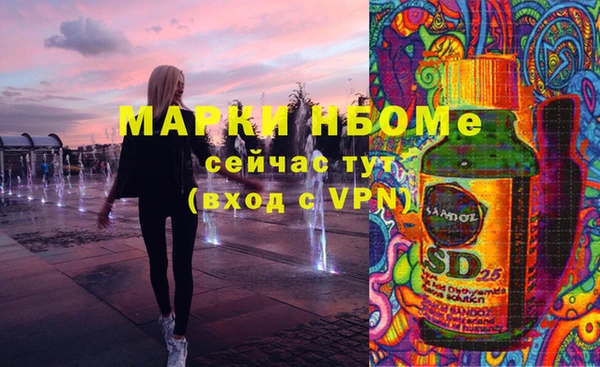spice Гусев