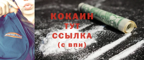 гидропоника Гусиноозёрск