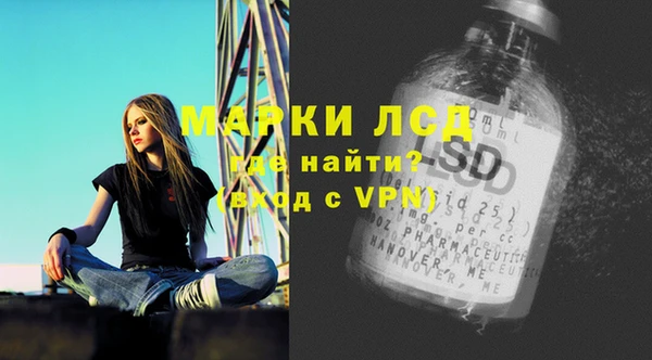 гидропоника Гусиноозёрск