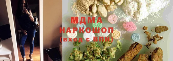 spice Гусев