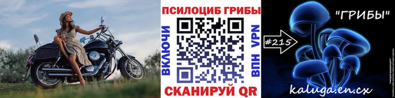 дарк нет как зайти  mega как войти  Реж  Псилоцибиновые грибы MAGIC MUSHROOMS 