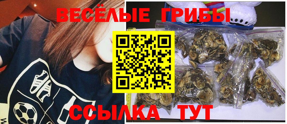 Галлюциногенные грибы GOLDEN TEACHER  Вход с VPN  что такое наркотик  Реж 