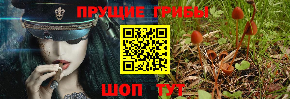 Псилоцибиновые грибы MAGIC MUSHROOMS Реж